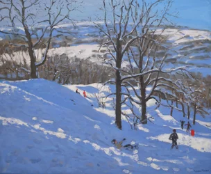 Black Rocks, Derbyshire, 2009